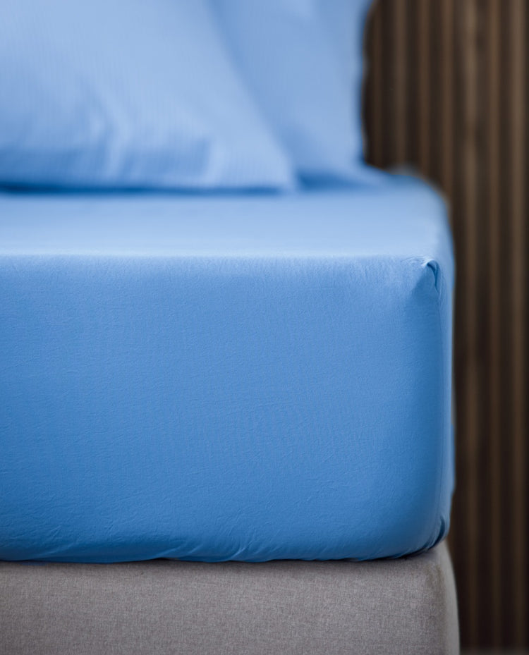 COTTON 200 thread count fitted sheet Blue